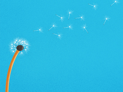 Dandelion ready to be animated blowing dandelion illustration