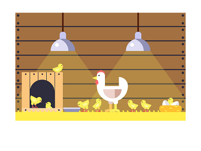 chicken eggs flat hen illustration incubator nest vector