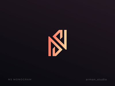 Modern Luxury Letter NS Monogram Logo