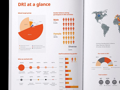 Layout Design - Annual Report DRI charts data data information data visualisation freelancer graphic design oanamaries problem solving ui