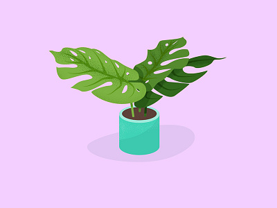 Plant doodle drawing fern illustration illustrations plant succulent vector