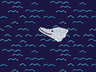 Dolphin Dive animation character design dolphin gifs illustration