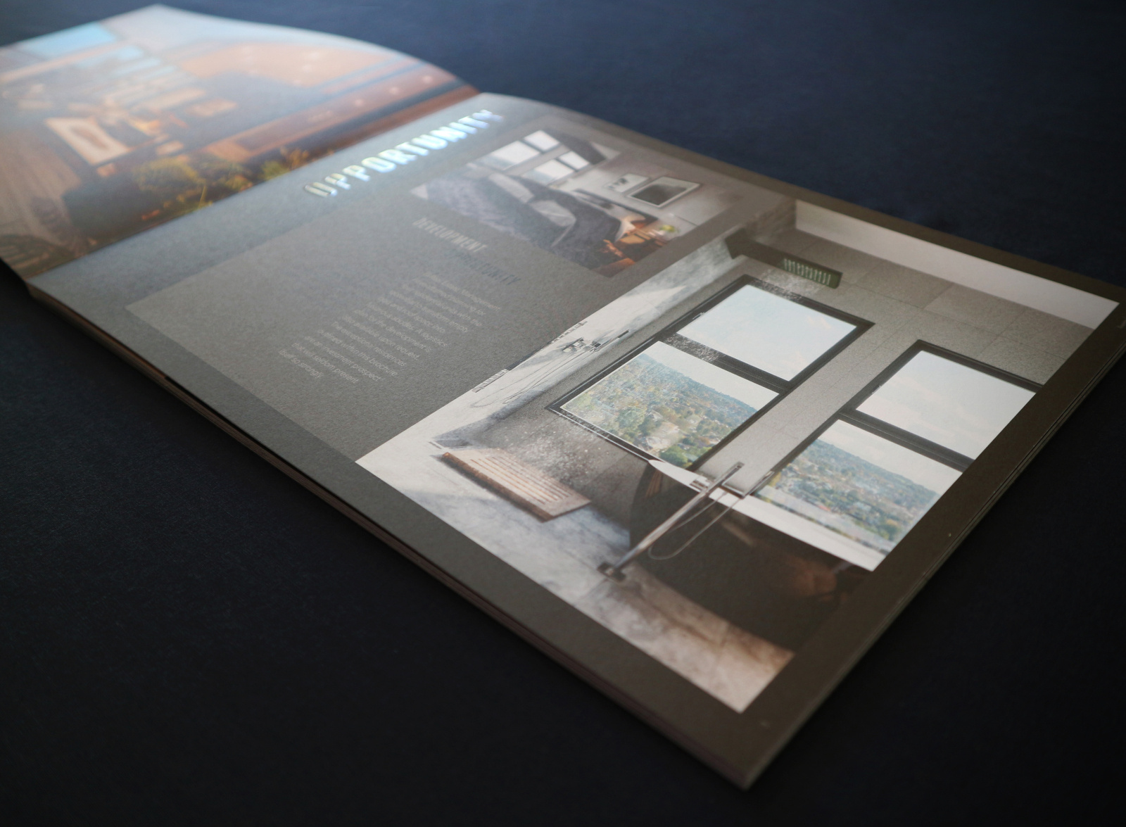 Luxury Penthouse Brochure By Adam Michael On Dribbble