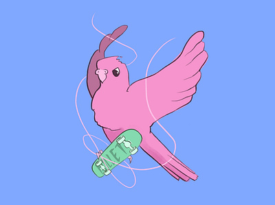 Skateboard Bird digital illustration illustration