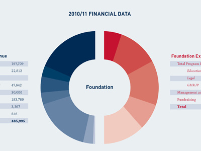 ACLU: Financial Data aclu annual report blue chart data din information graphics red sans serif visualization