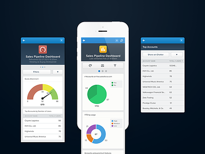 Salesforce1 - Dashboards app blue dashboard device enterprise ios iphone salesforce ui ux
