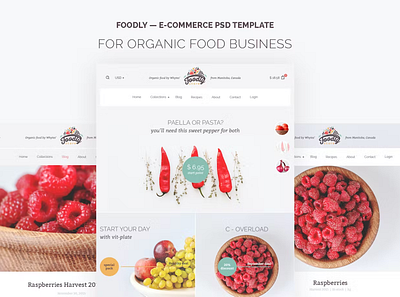 Foodly Shopify design landing page product saas shopify ui ux