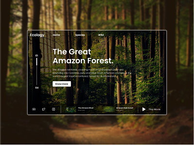 Amazon forest web UI design ui uidesign web