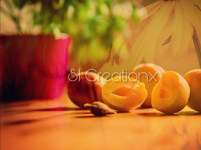 The morning tales of apricots and peaches 3d abstract animation app branding design graphic design icon illustration logo manipulation motion graphics photo manipulation photoshop picsart picture editing ui ux vector