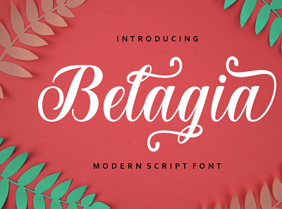 Belagia branding calligraphy casual design elegant graphic design lettering logo lovely modern font script