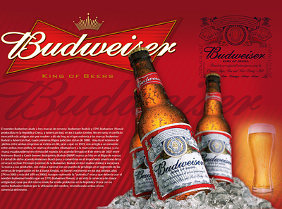 Badweiser Beer folleto illustration ilustracion