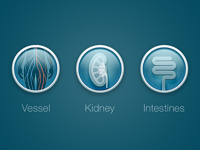 Medicon body health hospital icon intestines kidney medical vessel