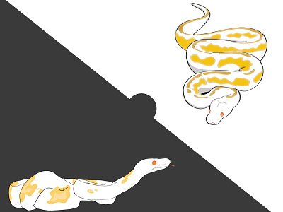 Ball Python Albino animal art background design graphicdesign illustration illustrator snake wallpaper