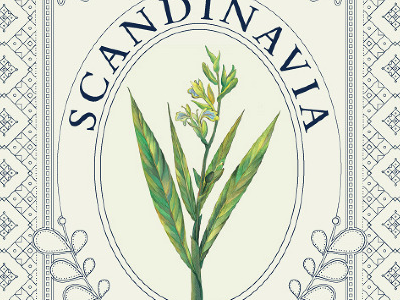 Penzeys Spices Illustration custom illustration illustration pattern plant drawing scandinavia spices stamp