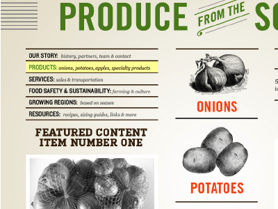 Old circular inspired produce website comp grocery onions produce website