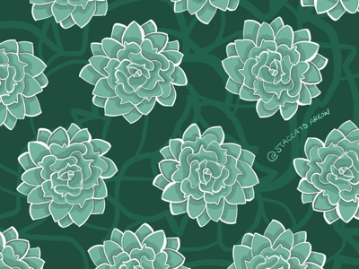 Succulent Pattern adobe fresco illustration pattern art pattern designer succulents