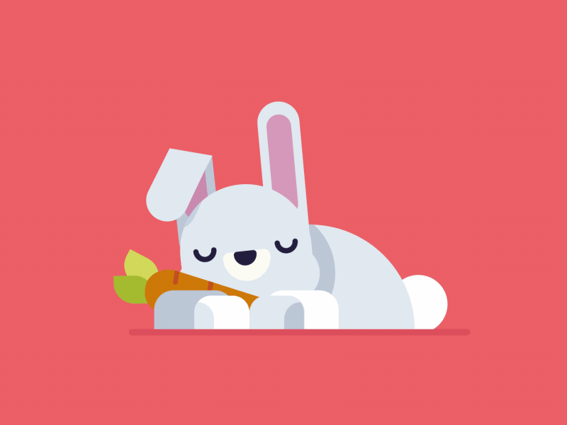 Rabbit taking a nap animation character characters design icon illustration