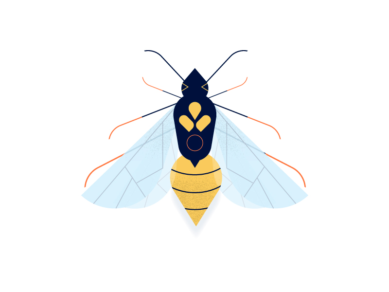 Wasp by Carolina Contreras on Dribbble