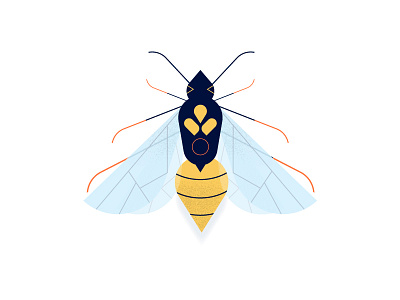 Wasp character color illustration insect line lines wasp
