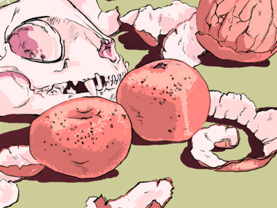 New Shot - 07/01/2014 at 06:23 PM bones food fruit fruits illustration peel scull tangerines teeth