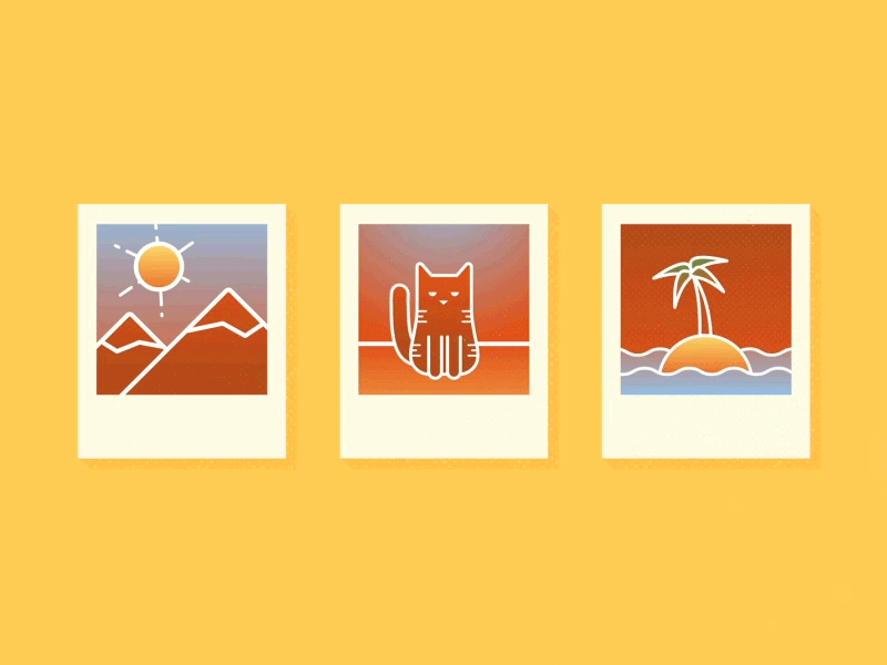 Photography after effects animation cat iconography illustration mountain palm tree polaroid sun