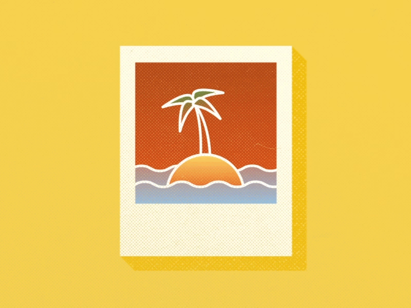 Palm Tree after effects animation iconography illustration palm tree polaroid