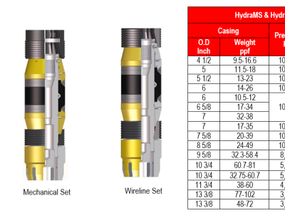 HydraMS and HydraWS Bridge Plug - SAZ Oilfield Services