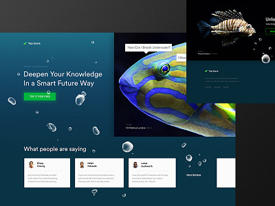 Top Score animal app design digital education fish landing nature ocean system ui web