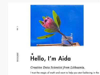 helloaida.eu data identity landing minimal photography poetic portfolio retro science typographic webdesign