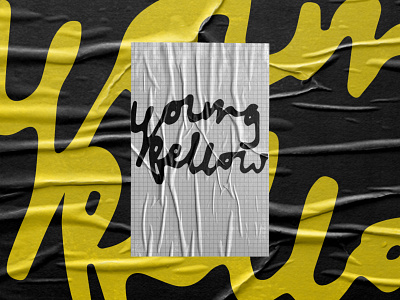 Young Fellow - Poster Mock