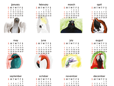 2017 - Wunderbirds Calendar - Digital Drawings art birds calendar digital painting digitalart handdrawn wacom