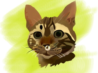 Catto animal cat digital digital illustration drawing