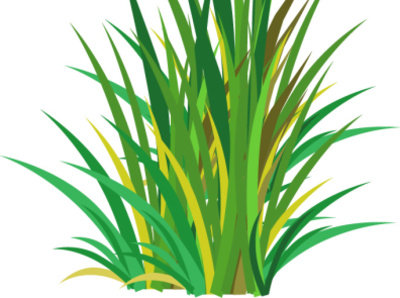 grass animation design illustration vector