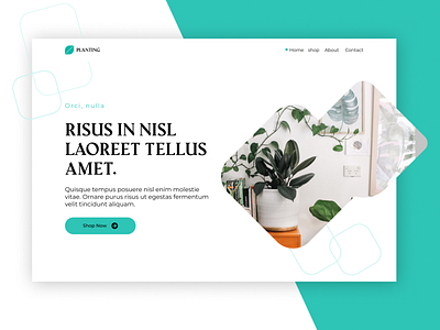 Planting figma landingpage minimalist nursery plants simplicity ui webdesign webpage website