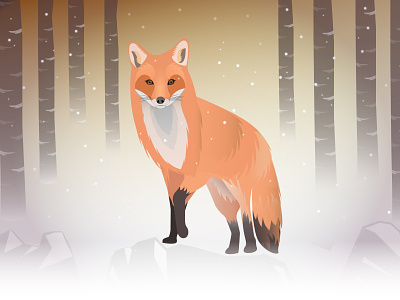 Fox illustration design fox illustration vector