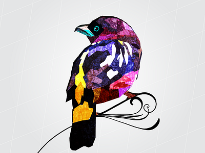 Bird bird design graphic vector