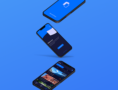 Savvy App app branding design ui