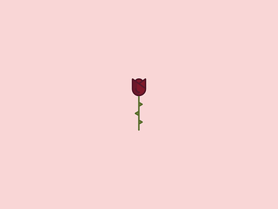 February 17: Final Rose