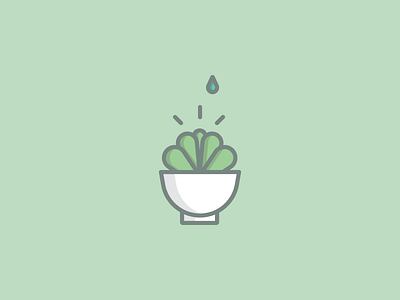 June 4: Succulent 365cons daily icon diary icon leaves plant succulent water