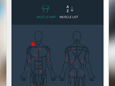 Muscle map diet exercise gym map muscle ui workout