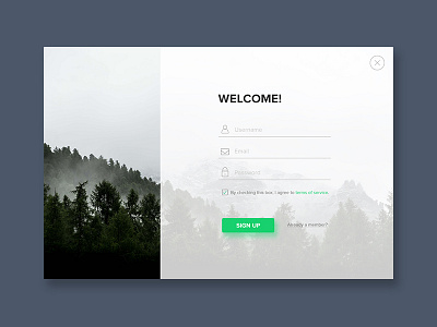 Daily UI #1 daily ui form interface log in sign up sign up ui