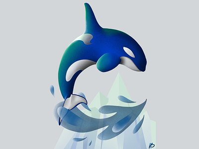 Orca Splash