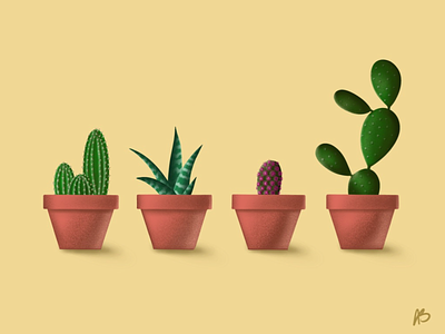 Succulents design illustration procreate succulents