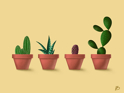 Succulents