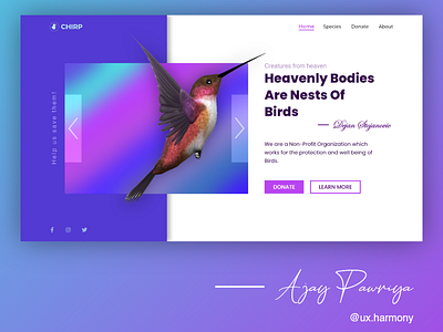 Bird website header section design adobexd design header ui ux webdesign website design