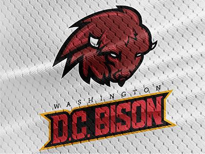 Washington D.C. Bison NFL Concept american football branding design logo