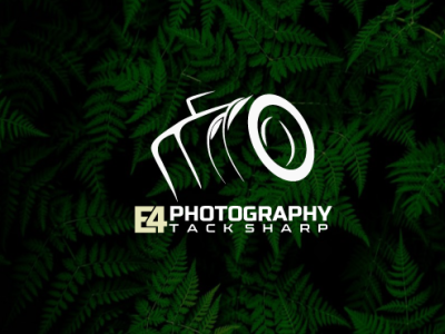 i will create photography logo logo design photography logo