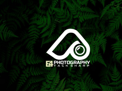 i will create photography logo logo desgin photography logo design