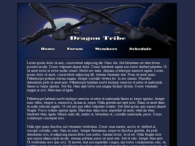 Dragon Tribe Linkshell (FFXI) web design webdesign website