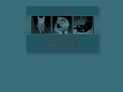 Fuzzy Paws web design webdesign website